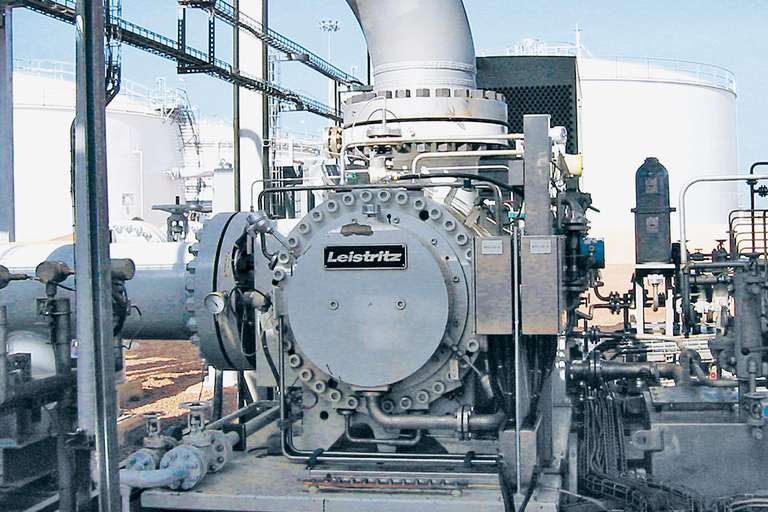 Wellendichtung für zweispindelige Schraubenspindel-Multiphasenpumpe