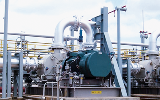 Wellendichtung für eine Schraubenspindelpumpe