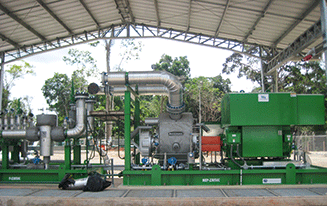 DiamondFace-beschichtete Wellendichtung für Bornemann Multiphasenpumpen