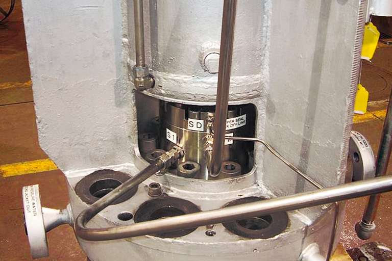 Wellenabdichtung für Kesselumwälzpumpe