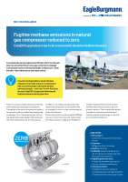 Solution: CobaDGS pilot project with GRTgaz