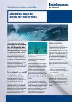 Solution: Mechanical seals for marine current turbines